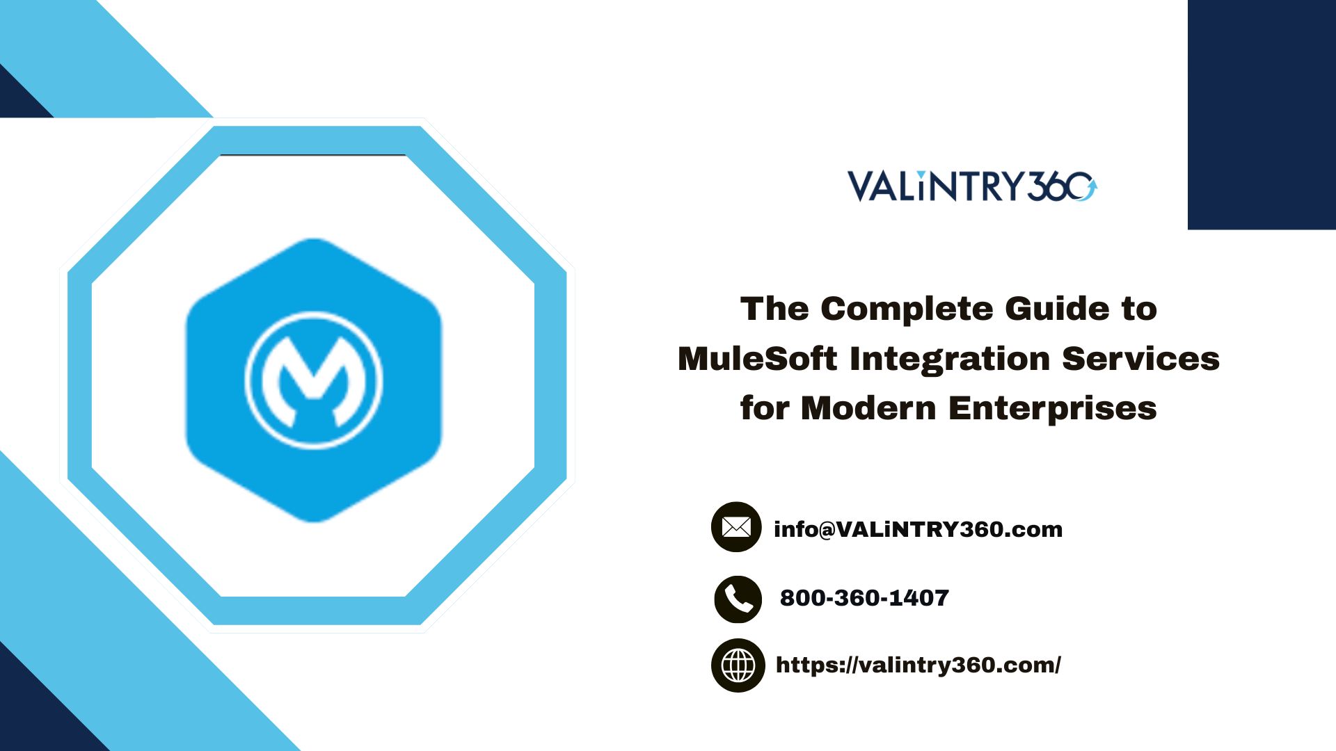 MuleSoft Integration Services