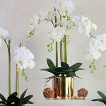 Artificial Orchid Flowers for Elegant Home Decor and Interiors UAE