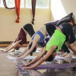 Certified Yoga Teacher Training in Goa: A Transformative Journey Toward Professional and Personal Growth