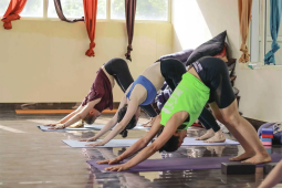 Certified Yoga Teacher Training in Goa