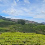 Summer Special Kerala Tour Packages with Hill Station Tours