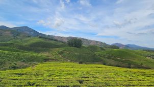 kerala tour packages
