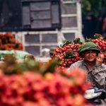 One Link from My Phu Quoc Holiday Package Research
