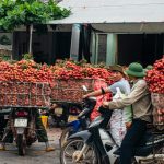 Travel Notes Linked to a Phu Quoc Couple Holiday