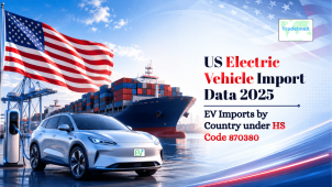 US Electric Vehicle Import Data 2025