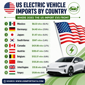 US Electric Vehicle Import Data 2025