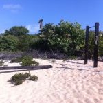 Enjoy the Ultimate Caribbean Escape with Waterfront Vacation Villa Rentals in TCI