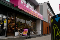 Ann Arbor mushroom dispensary scene