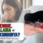 Dengue, Malaria or Chikungunya? How to Tell the Difference — and When to See a Doctor