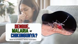 Dengue Symptoms