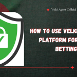 How to Use Velki Official Platform for Safe Betting?