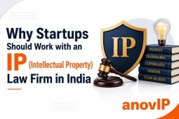 Why Startups Should Work with an IP (Intellectual Property) Law Firm in India