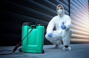 pest exterminator