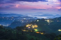 kerala tour packages